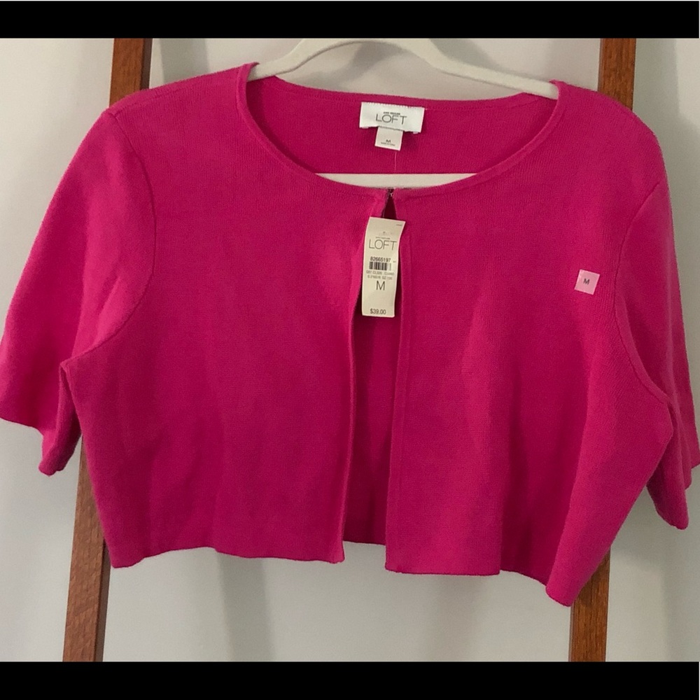 Loft cropped sweater